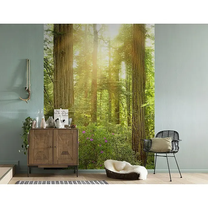 Komar Stefan Hefele Edition 1 Fototapete Redwood - 2 -tlg., B x H: 200 x 250 cm, Vlies - Stimmungsaufnahme