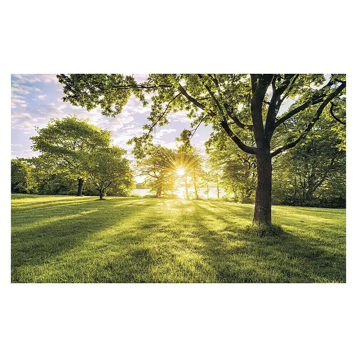 Komar Stefan Hefele Edition 1 Fototapete Golden Moment - 4 -tlg., B x H: 400 x 250 cm, Vlies - Vorderansicht