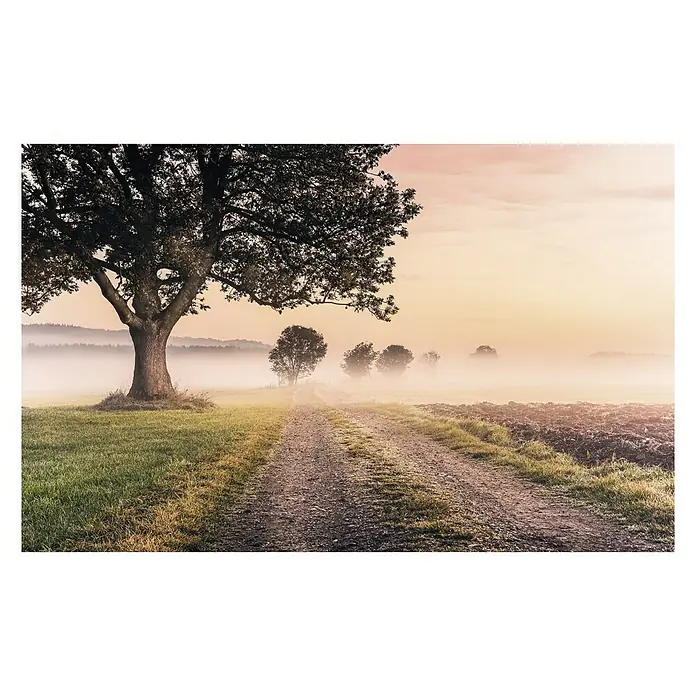 Komar Stefan Hefele Edition 1 Fototapete Misty Morning - 4 -tlg., B x H: 400 x 250 cm, Vlies - Vorderansicht