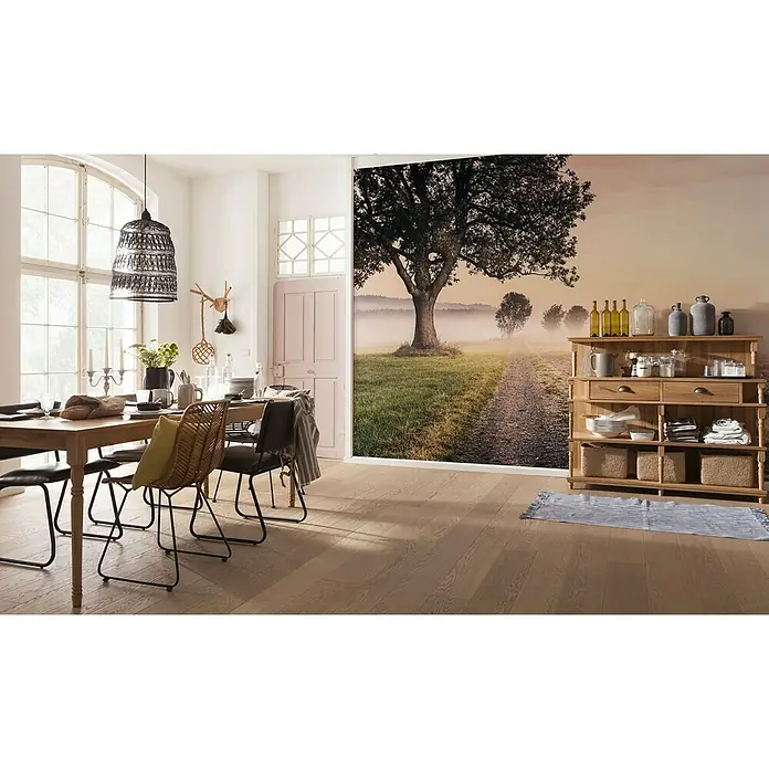 Komar Stefan Hefele Edition 1 Fototapete Misty Morning - 4 -tlg., B x H: 400 x 250 cm, Vlies - Stimmungsaufnahme