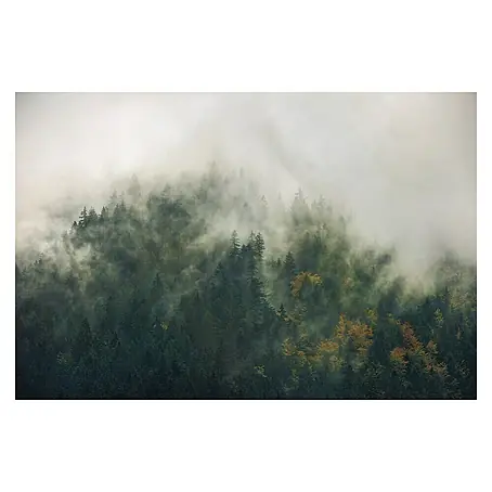Komar Stefan Hefele Edition 1 Fototapete Tales of the Carpathians