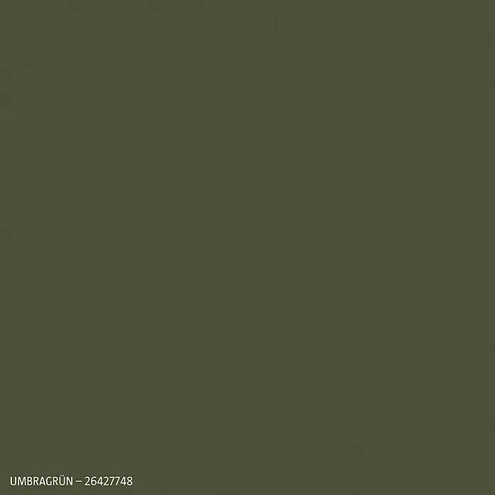 swingcolor Vollton- & Abtönfarbe - Umbragrün, 250 ml, Matt, Lösemittelfrei