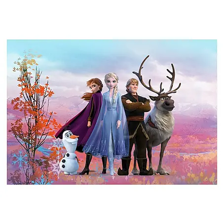 Komar Disney Edition 4 Fototapete Frozen Iconic