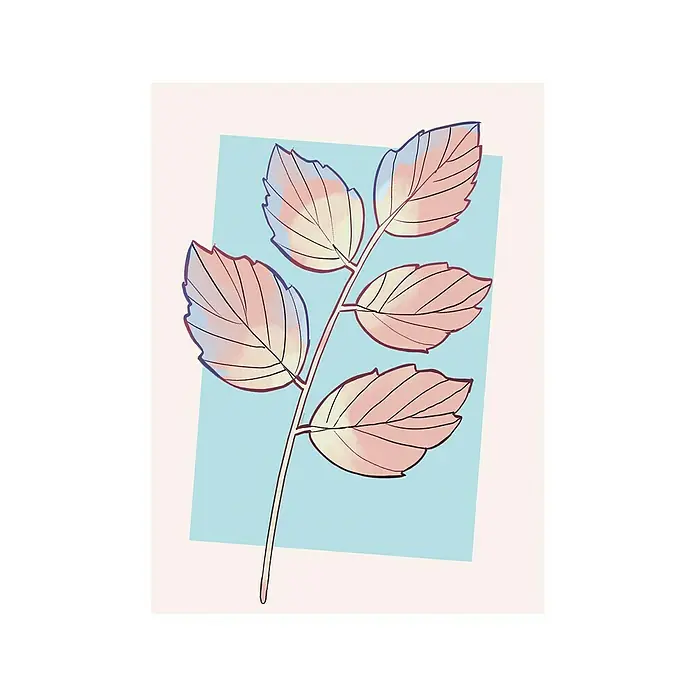 Komar Disney Edition 4 Poster Cinderella Plant - Disney, B x H: 40 x 50 cm - Vorderansicht
