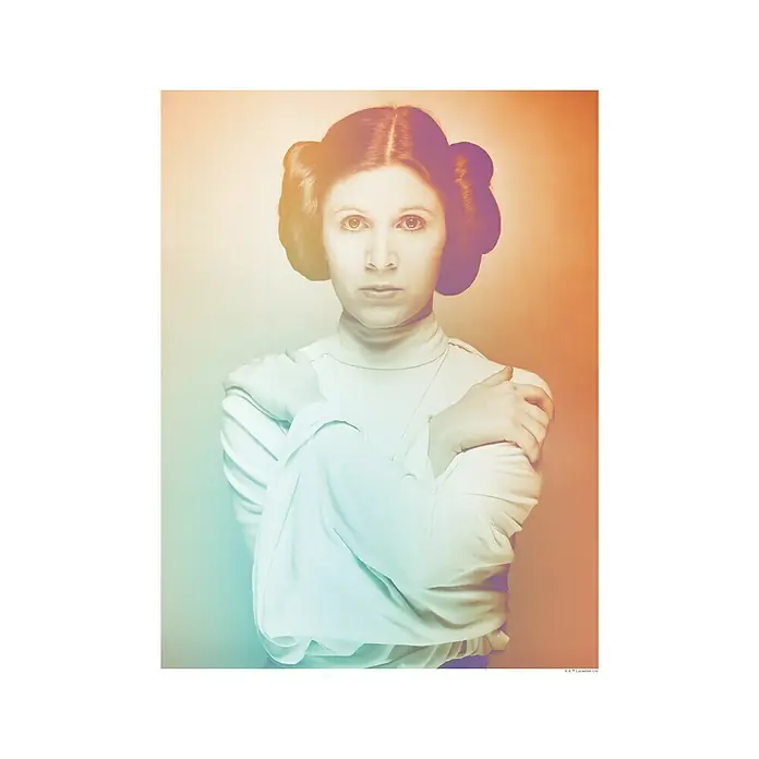 Komar Star Wars Poster Icons Color Leia - Disney, B x H: 50 x 70 cm - Vorderansicht