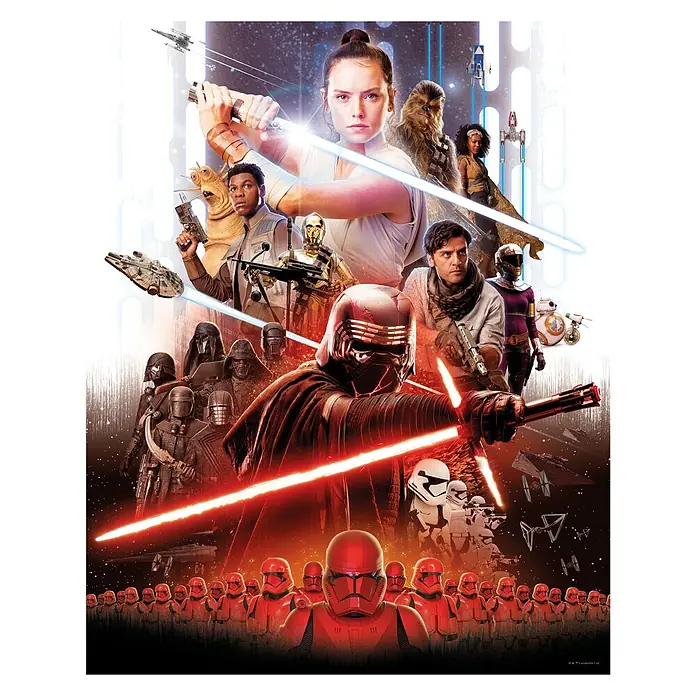 Komar Star Wars Poster Movie Poster Rey - Disney, B x H: 40 x 50 cm - Vorderansicht