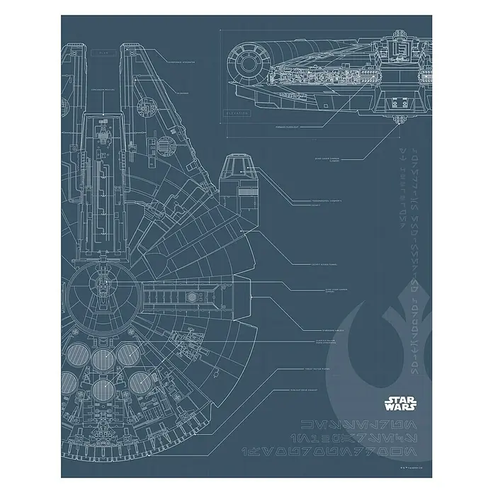 Komar Star Wars Poster Blueprint Falcon - Disney, B x H: 40 x 50 cm - Vorderansicht
