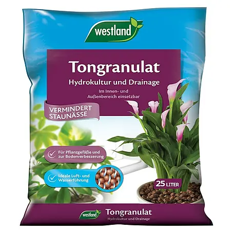 Westland  Tongranulat