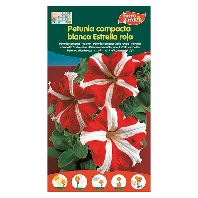 Euro Garden Semillas de flores Petúnia Compacta Estrella Roja - Petunie Hib.