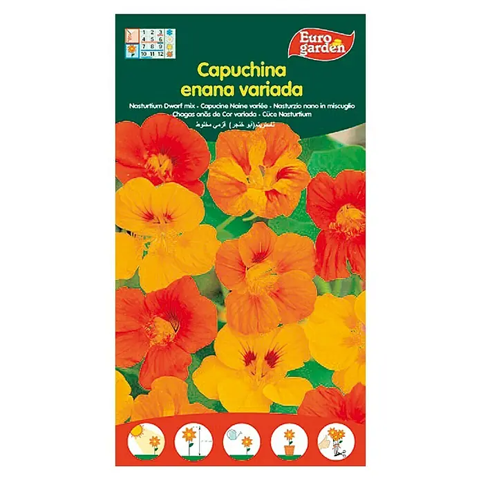 Euro Garden Semillas de hierbas Capuchina enana variada - Tiempo de siembra: Marzo