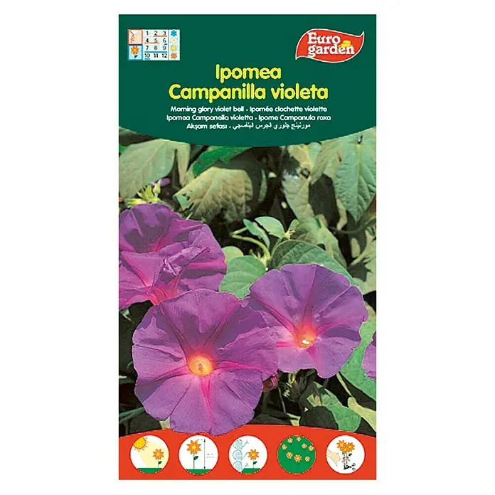 Euro Garden Semillas de flores Ipomea Campanilla - Época de floración: Junio