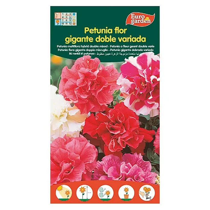 Euro Garden Semillas de flores Gigante Doble Variada - Petunie dopplet