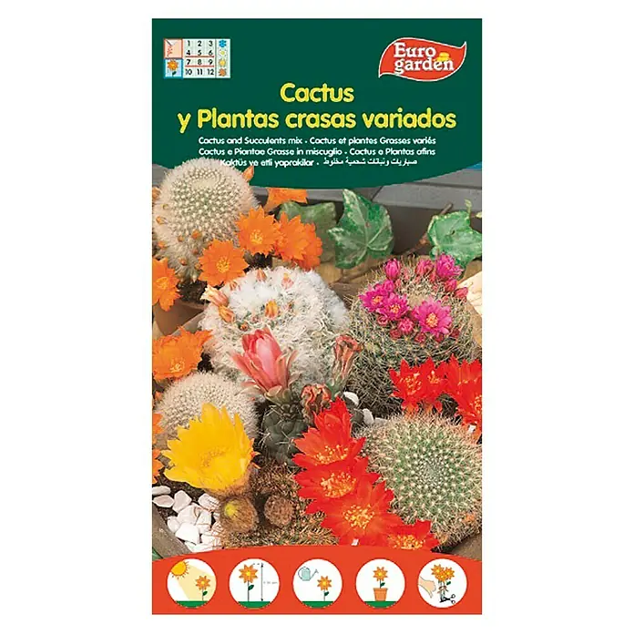 Euro Garden Semillas de Cactus - Época de floración: Marzo