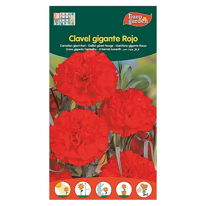Euro Garden Semillas de flores Clavel Gigante rojo - Época de floración: Marzo