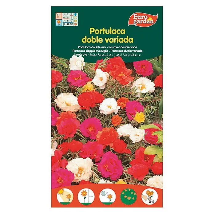 Euro Garden Semillas de flores Portulaca Doble Variada - Época de floración: Junio