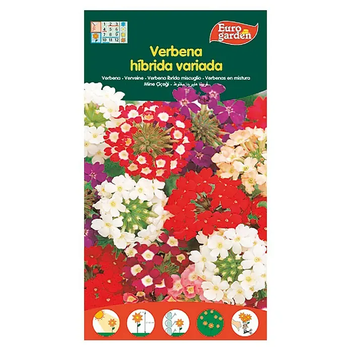 Euro Garden Semillas de flores Verbena Hibrida Variada - Época de floración: Junio