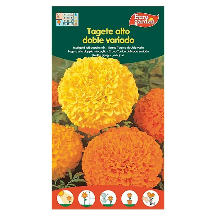 Euro Garden Semillas de flores Tagete alto Doble - Época de floración: Junio