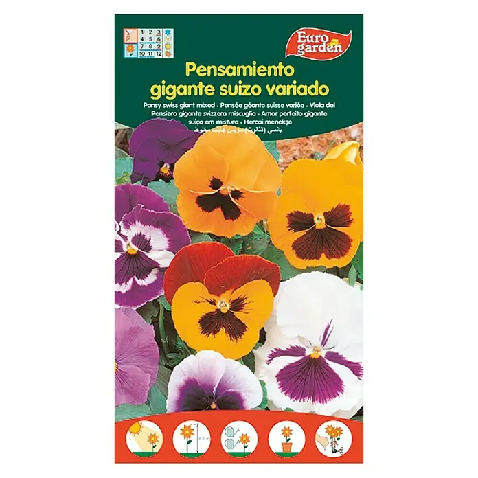Euro Garden Semillas de flores Pensamiento de jardín - Época de floración: Septiembre