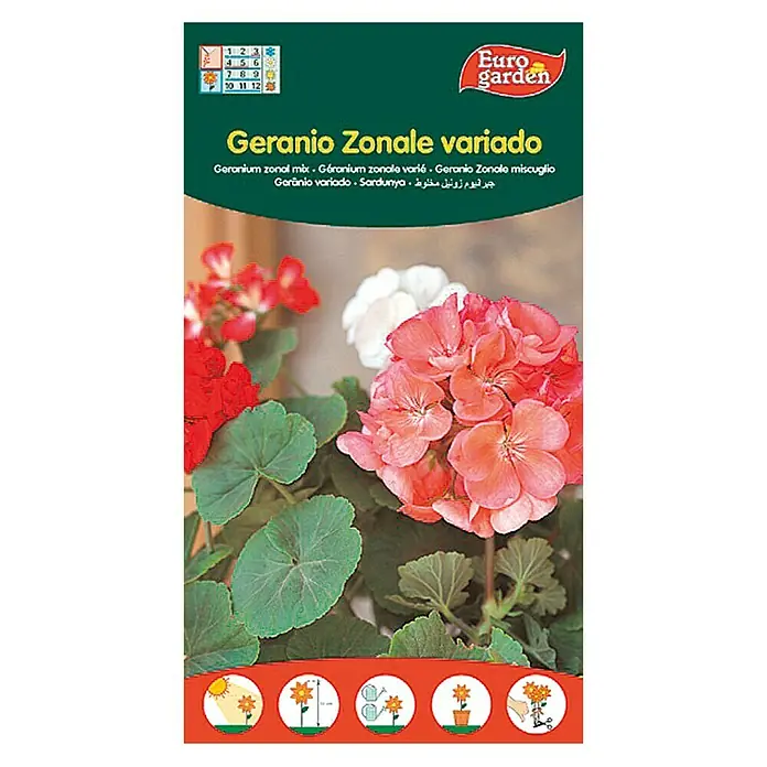 Euro Garden Semillas de flores Geranio Zonal - Época de floración: Junio