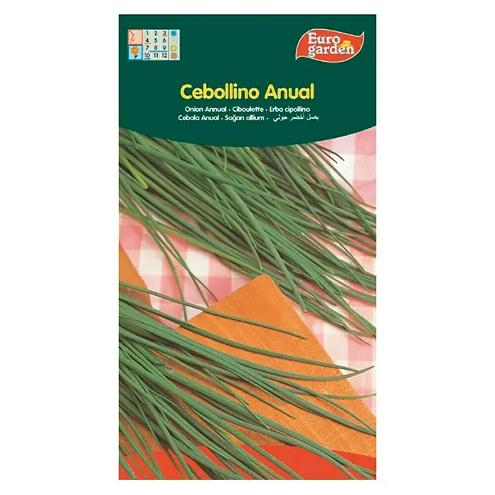 Euro Garden Semillas de hierbas Cebollino anual - Tiempo de siembra: Marzo