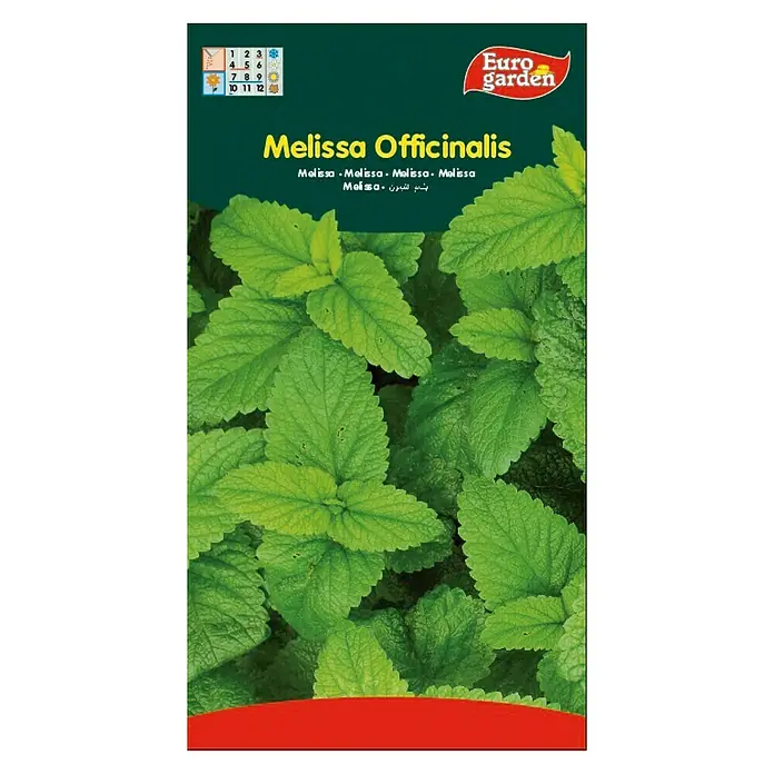 Euro Garden Semillas de hierbas Melissa - Melissa Officialis, Tiempo de siembra: Mayo