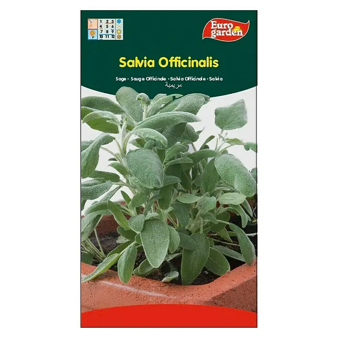 Euro Garden Semillas de hierbas Salvia officinalis - Tiempo de siembra: Febrero, Cosecha: Febrero