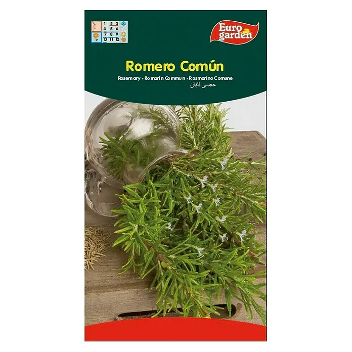 Euro Garden Semillas de hierbas Romero común - Tiempo de siembra: Febrero, Cosecha: Abril