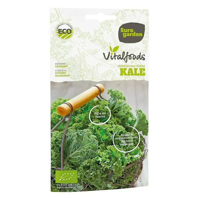 Euro Garden Semillas de vegetales Repollo Kale - Cosecha: Junio