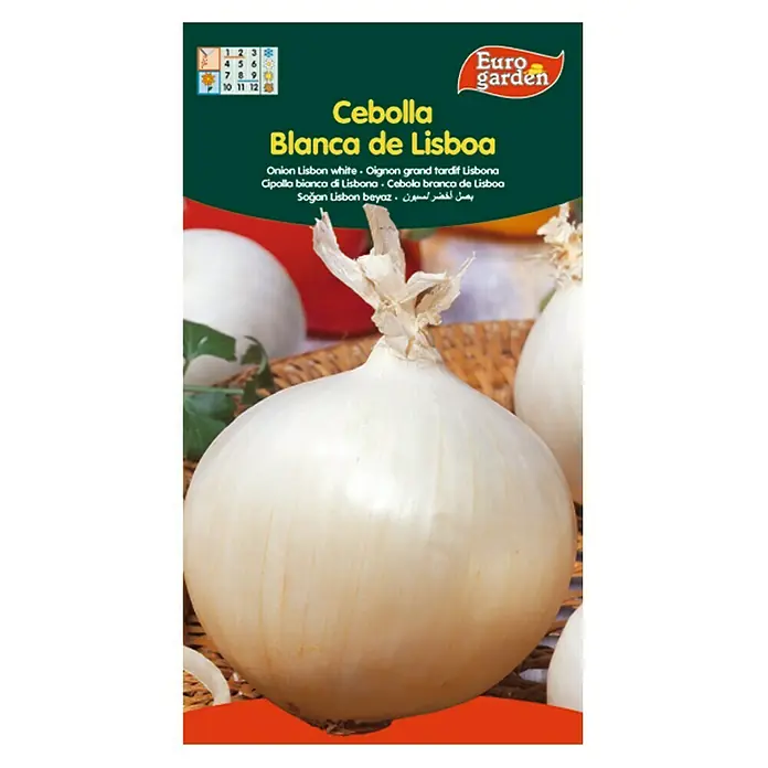 Euro Garden Bulbos de cebolla Blanca de Lisboa - Cosecha: Agosto, 5 g