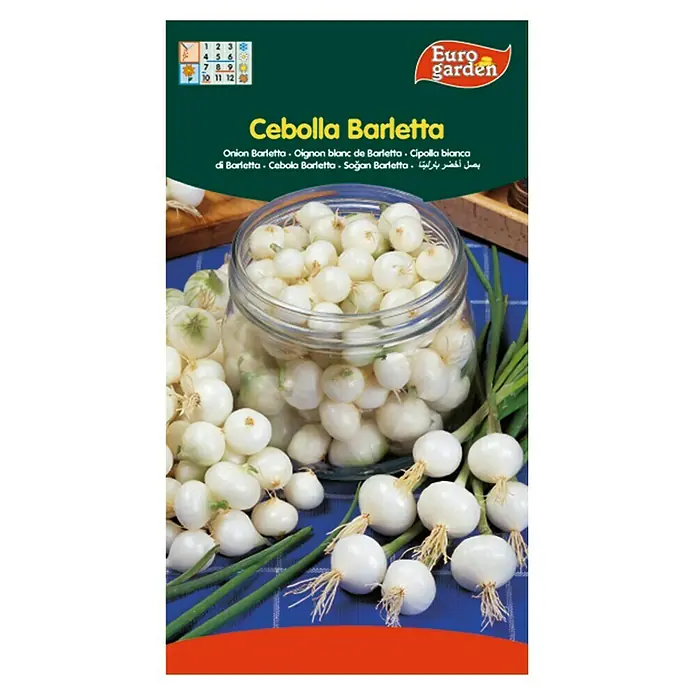 Euro Garden Bulbos de cebolla Barletta - Cosecha: Marzo, 5 g