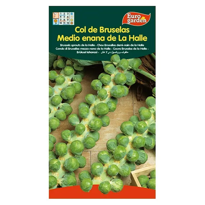 Euro Garden Semillas de vegetales Col de bruselas med. enana - Cosecha: Noviembre