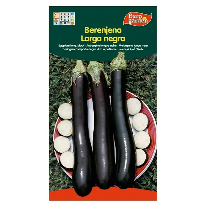 Euro Garden Semillas de vegetales Berenjena larga negra - Cosecha: Junio