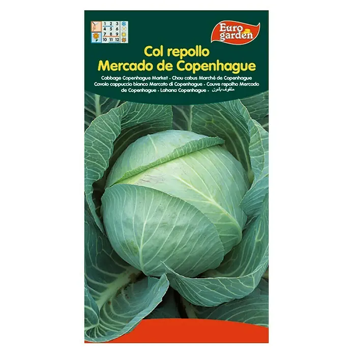 Euro Garden Semillas de vegetales Col repollo mercado de Copenhague - Cosecha: Noviembre