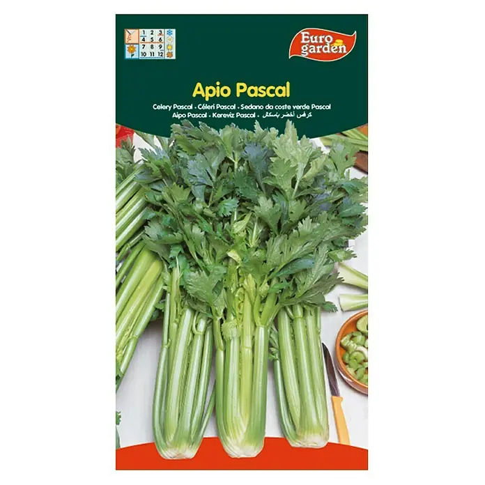 Euro Garden Semillas de vegetales Apio Pascal - Cosecha: Septiembre