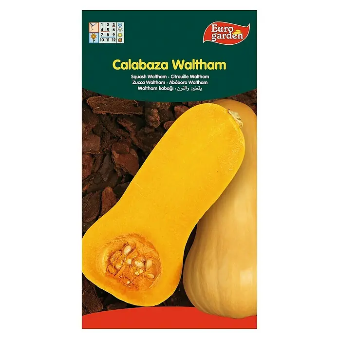 Euro Garden Semillas de vegetales Calabaza Waltham Butternut - Cosecha: Julio