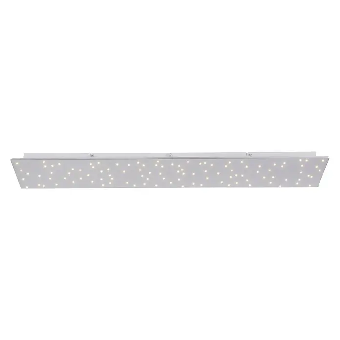 LeuchtenDirekt LED panel - 18 W, D x Š x V: 100 x 25 x 4 cm, Bijele boje - Pogled sprijeda