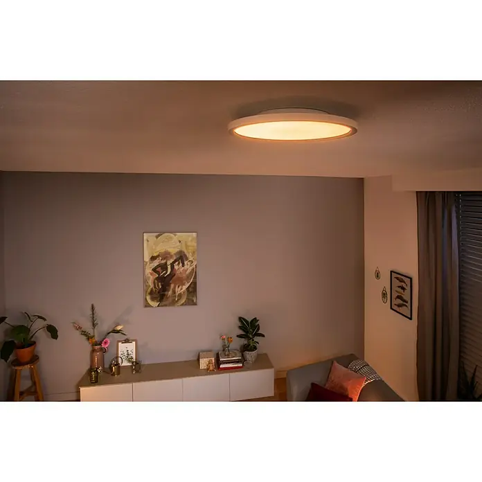 Philips Hue LED-Panel rund Aurelle - 28 W, Ø x H: 395 mm x 5 cm, Weiß, Warmweiß - Vorderansicht