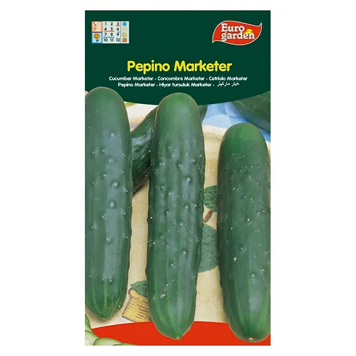 Euro Garden Semillas de vegetales Pepino Marketer - Cosecha: Junio
