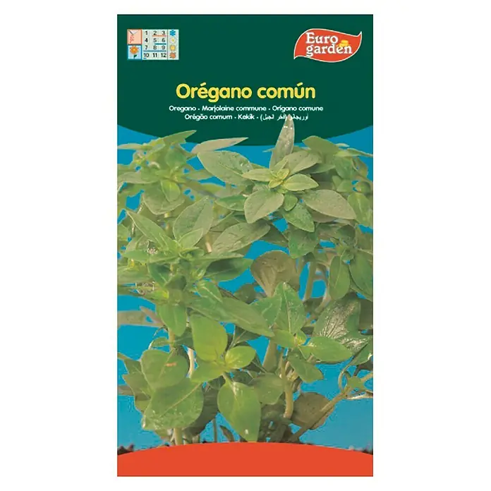 Euro Garden Semillas de hierbas Orégano común - Tiempo de siembra: Febrero, Cosecha: Mayo