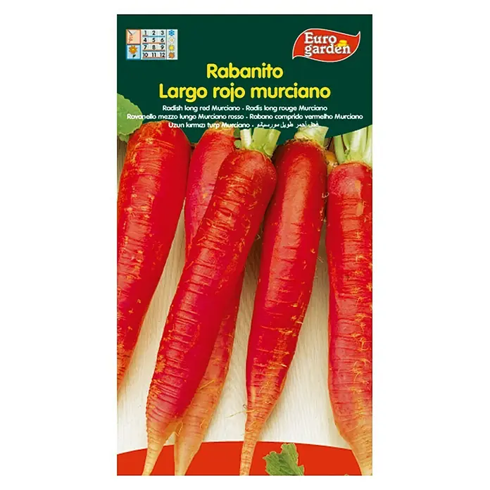 Euro Garden Semillas de vegetales Rabanito Largo Murciano - Cosecha: Durante todo el año
