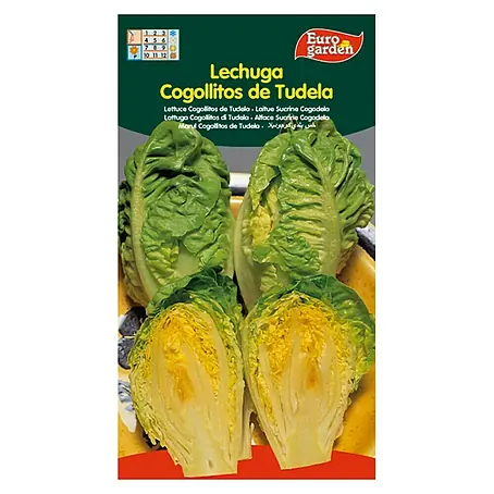 Euro Garden  Semillas de lechuga Cogolitos de Tuleda