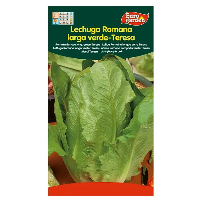 Euro Garden Semillas de lechuga Romana - Cosecha: Durante todo el año, 5 g