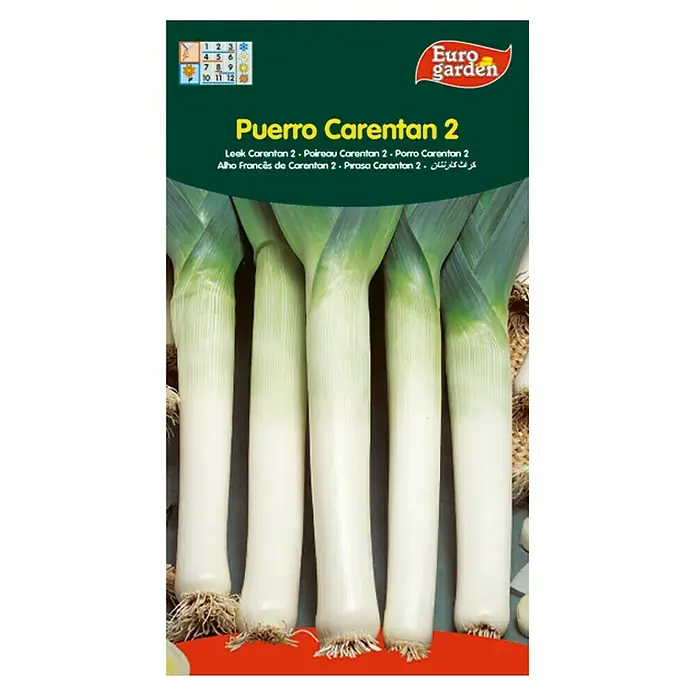 Euro Garden Semillas de vegetales Puerro carentan - Cosecha: Agosto