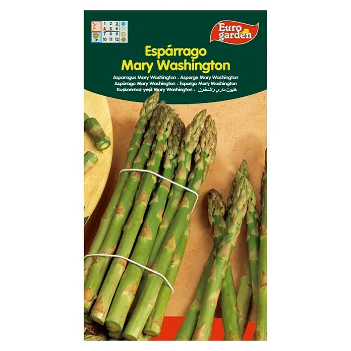 Euro Garden Semillas de vegetales Espárrago Mary Washington - Cosecha: Marzo
