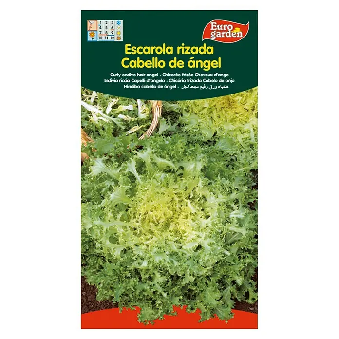 Euro Garden Semillas de lechuga Rizada cabello de ángel - Cosecha: Septiembre, 5 g