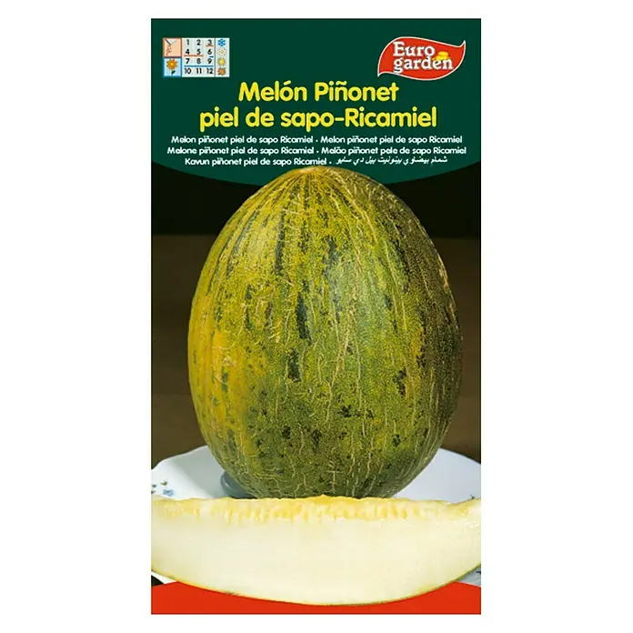Euro Garden Semillas de vegetales Melón piel de sapo Ricamiel - Cosecha: Junio