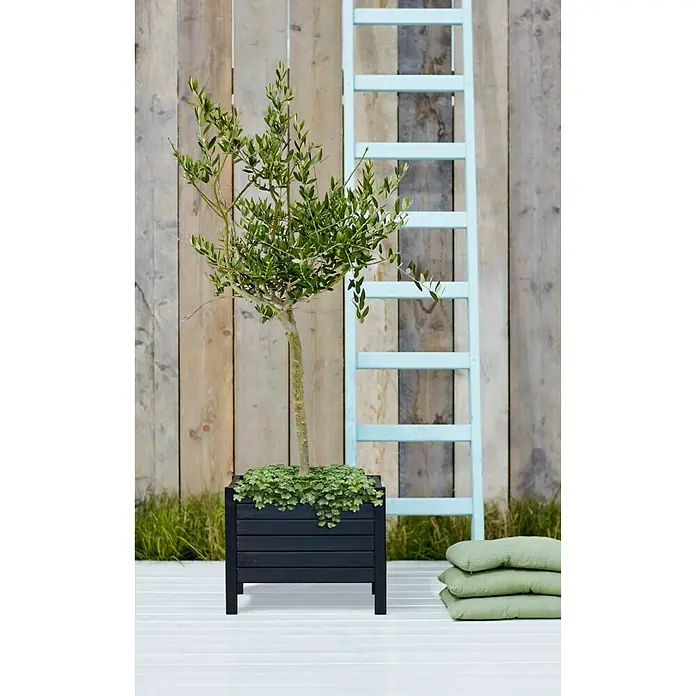 Plus Pflanzkasten Trend - Außenmaß (L x B x H): 48 x 48 x 39 cm, Holz, Schwarz - Stimmungsaufnahme