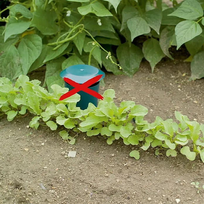 Gardigo Schneckenfalle - 2 Stk.