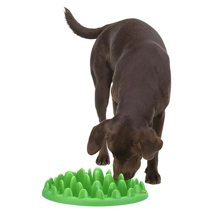 Karlie Tazón de comida Northmate® Green - Apto para: Perros, 40 x 30 x 10 cm - Producto en uso