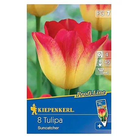 Kiepenkerl  Frühlingsblumenzwiebeln